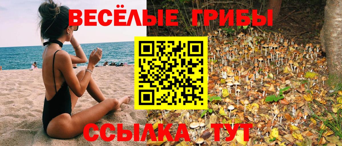 Галлюциногенные грибы Magic Shrooms Ачхой-Мартан